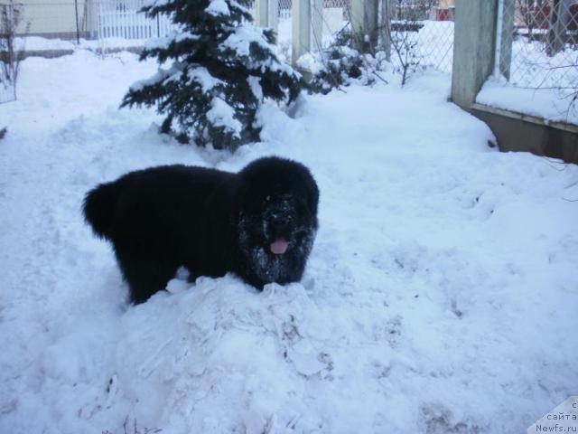 Фотография № 38529