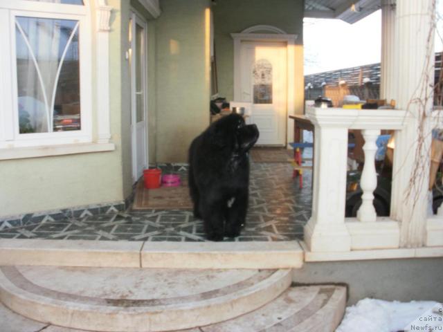 Фотография № 38530