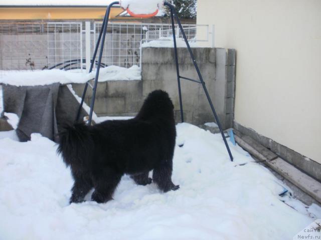 Фотография № 38531