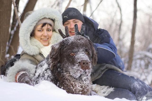 Фото: ньюфаундленд Lesnaja Skazka Korolevskiy Medved (Лесная Сказка Королевский Медведь), Dmitriy Samarcev (Дмитрий Самарцев), Svetlana Samarceva (Светлана Самарцева)