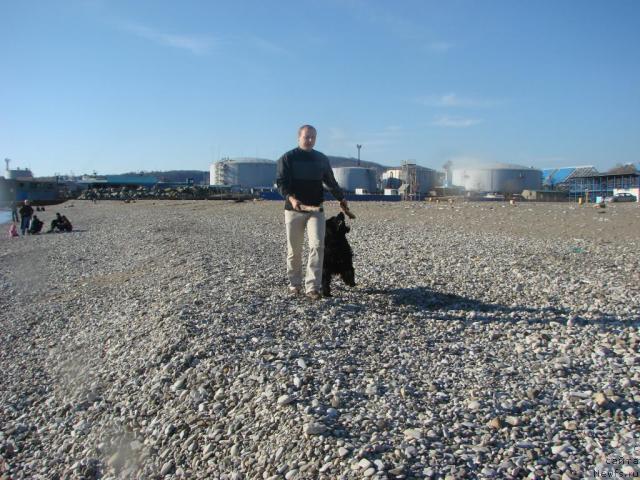 Фото: ньюфаундленд Archibal'd (Арчибальд)