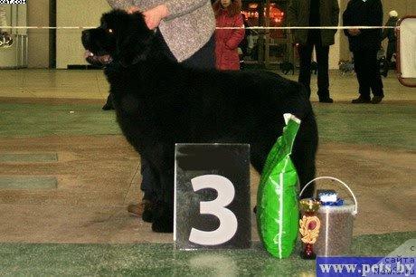 Фотография № 38677