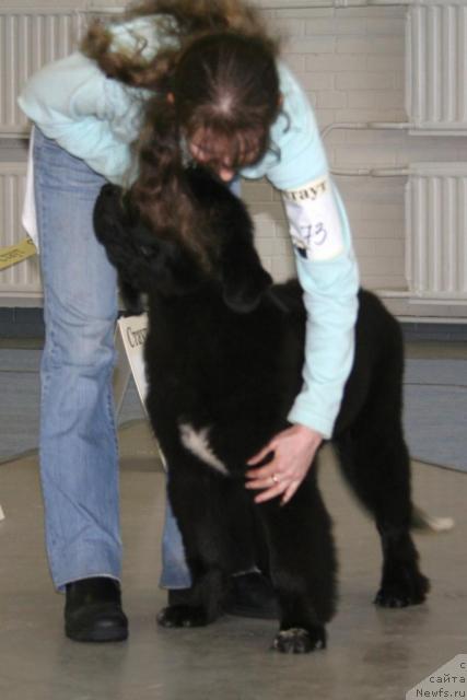 Фотография № 38713