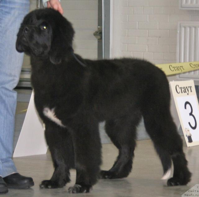 Фотография № 38716