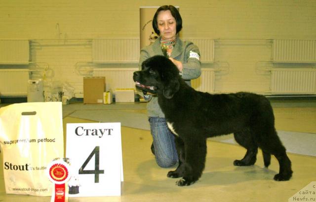 Фотография № 38718