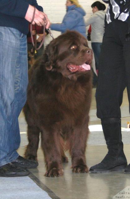 Фотография № 38720