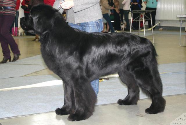 Фотография № 38721