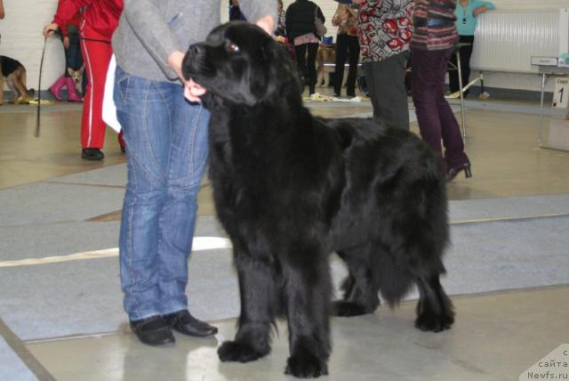 Фотография № 38722