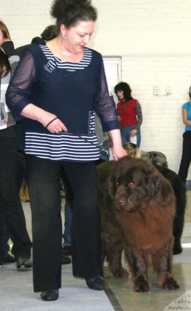 Фотография № 38724