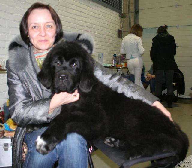 Фотография № 38726