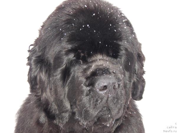 Фотография № 38741