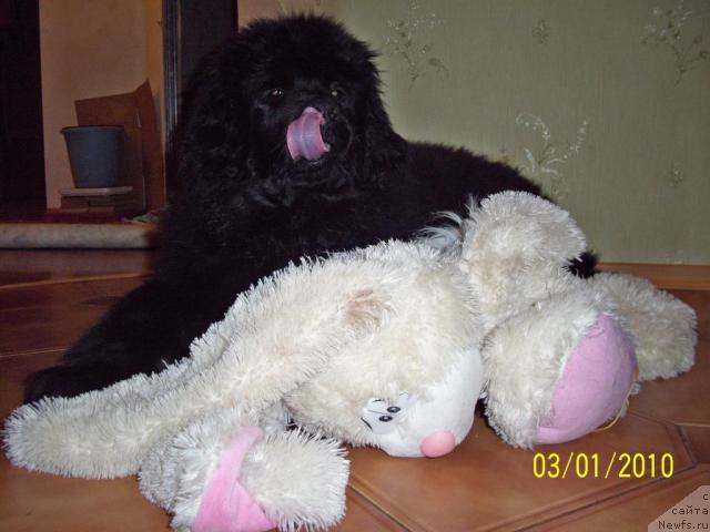 Фото: Бегущая по Волнам Ритм энд Блюз [d9019]