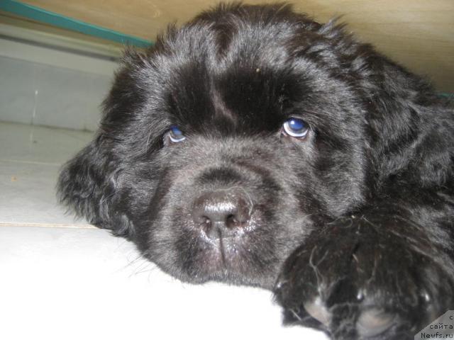 Фотография № 38844