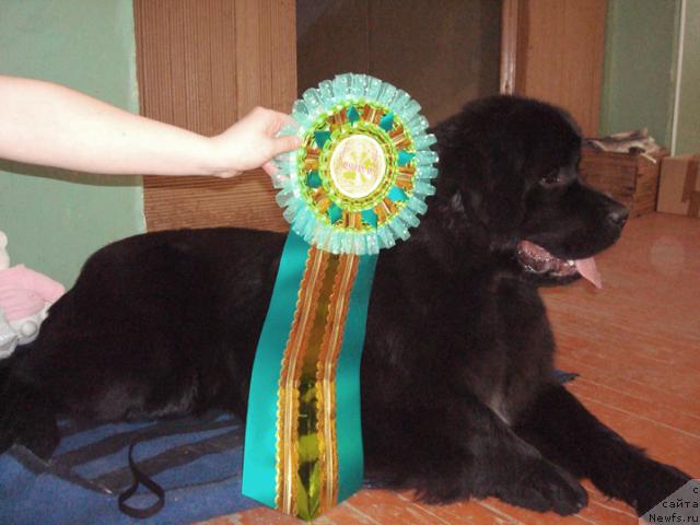 Фотография № 38926