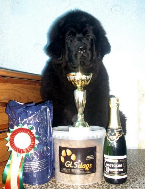 Фотография № 38942