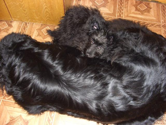 Фотография № 38949