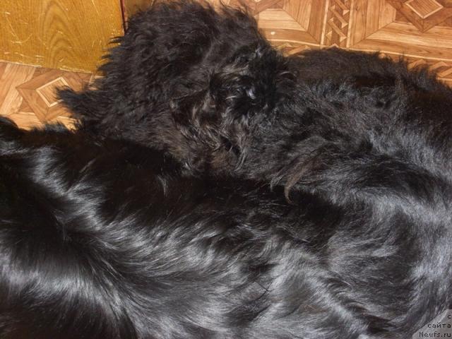 Фотография № 38950