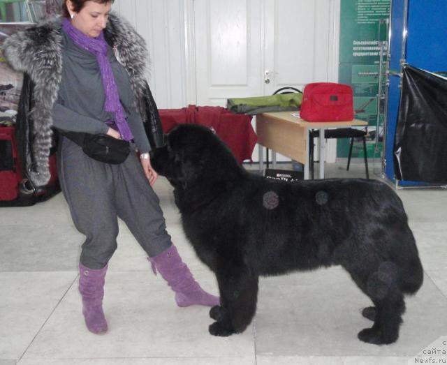 Фотография № 39041