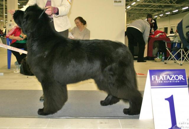 Фотография № 39085