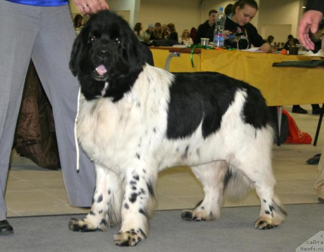 Фотография № 39089