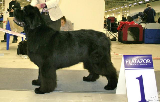 Фотография № 39091