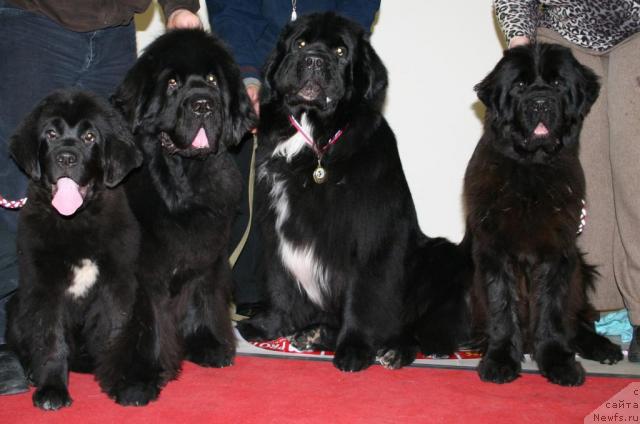 Фотография № 39093