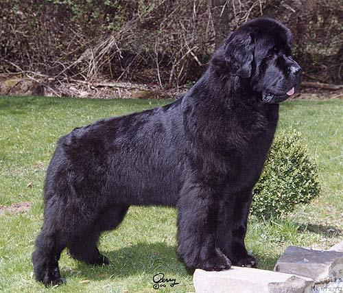 Фотография № 391