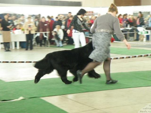 Фотография № 39106