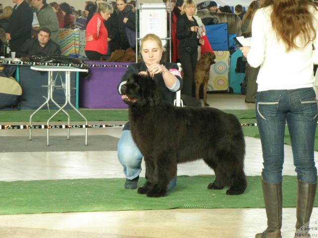 Фотография № 39110