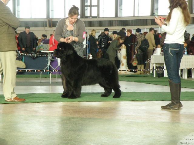 Фотография № 39112