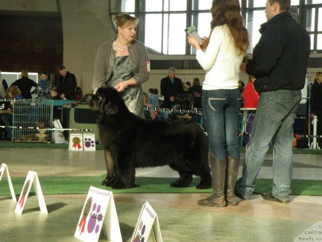 Фотография № 39113