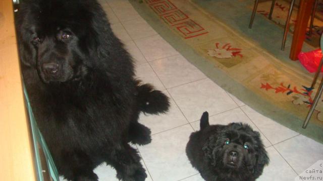 Фотография № 39183