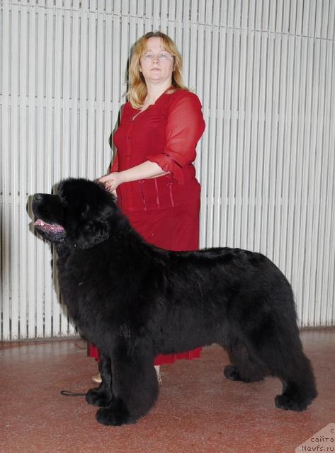 Фотография № 39213