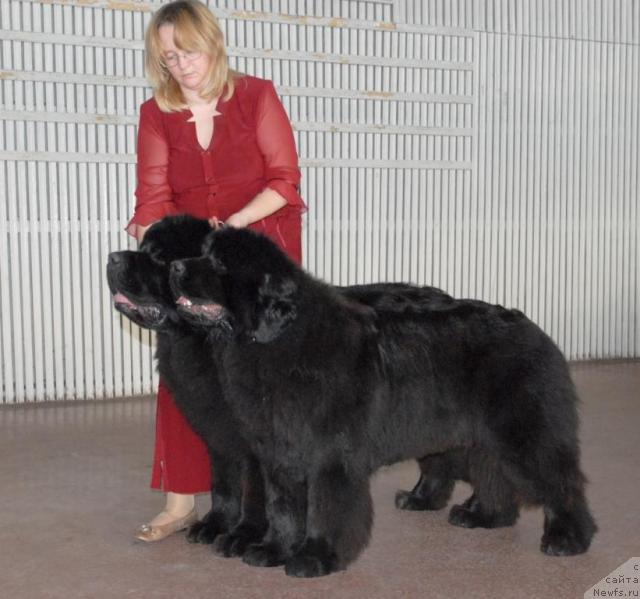 Фотография № 39214