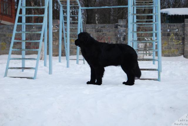 Фотография № 39242