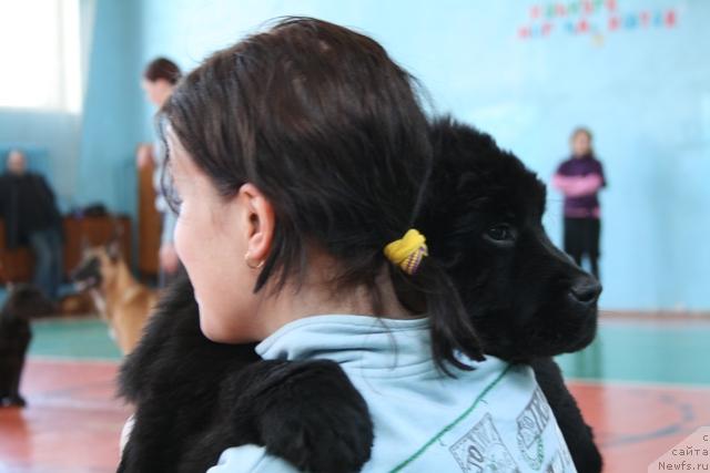 Фотография № 39243