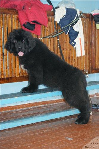 Фотография № 39246