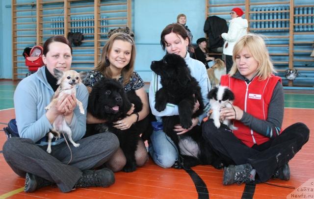 Фотография № 39248