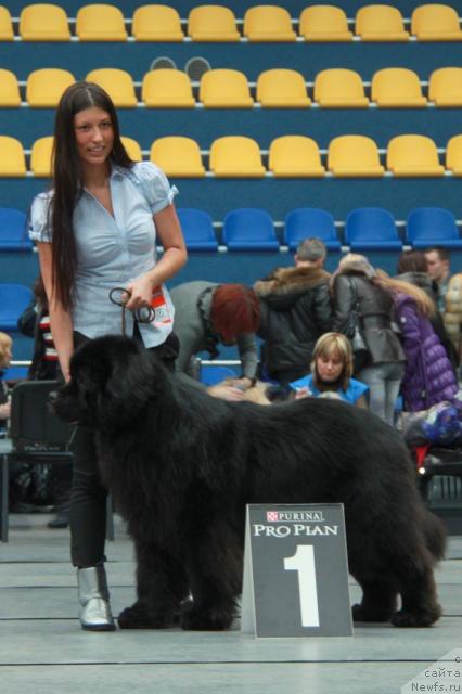 Фотография № 39252