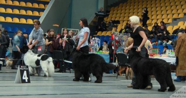 Фотография № 39254