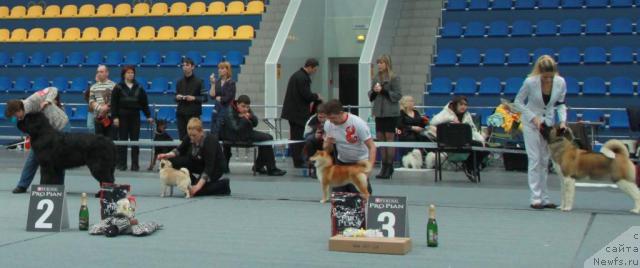 Фотография № 39258