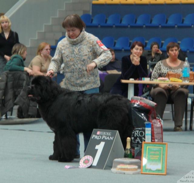 Фотография № 39260