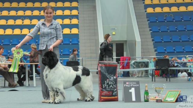 Фотография № 39263