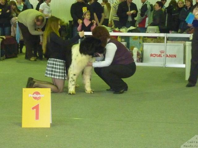 Фотография № 39271