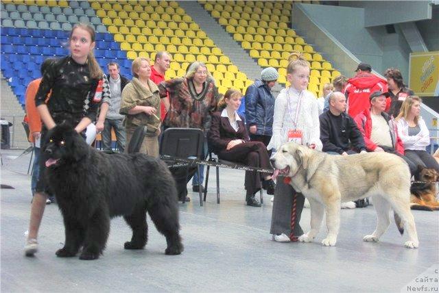 Фотография № 39272