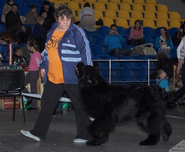 Фотография № 39287