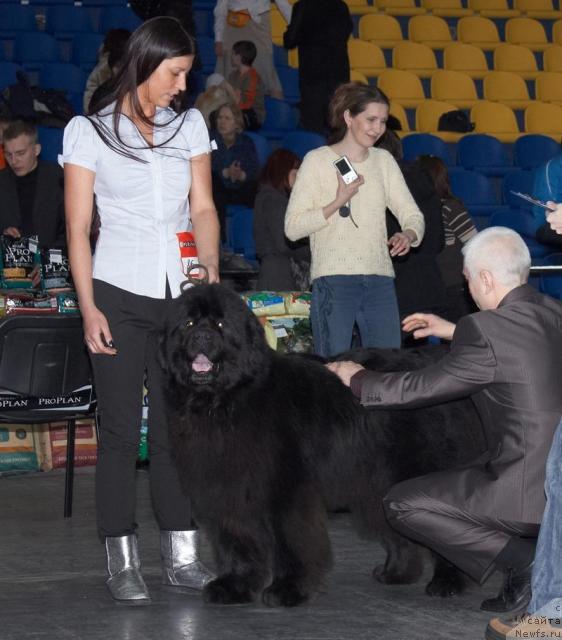 Фотография № 39290