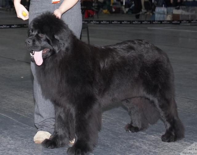 Фотография № 39291