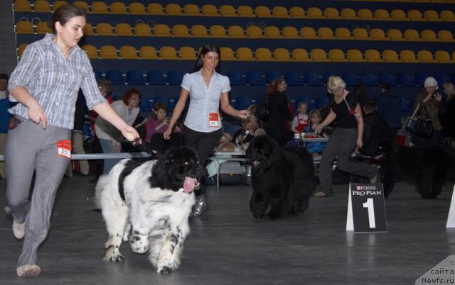 Фотография № 39293