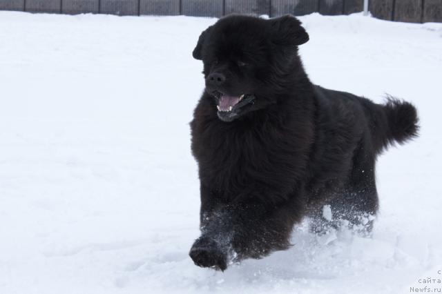 Фотография № 39294